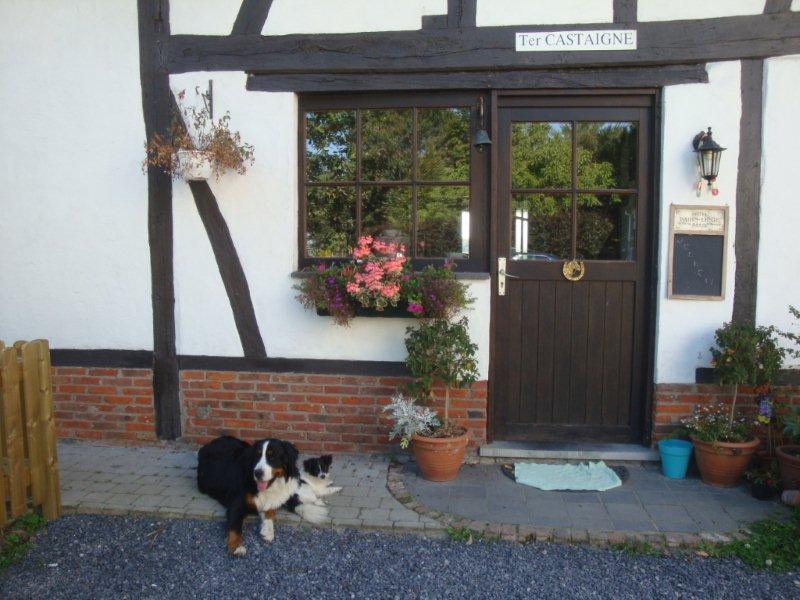 B&B Ter Castaigne Koekelare Exterior photo
